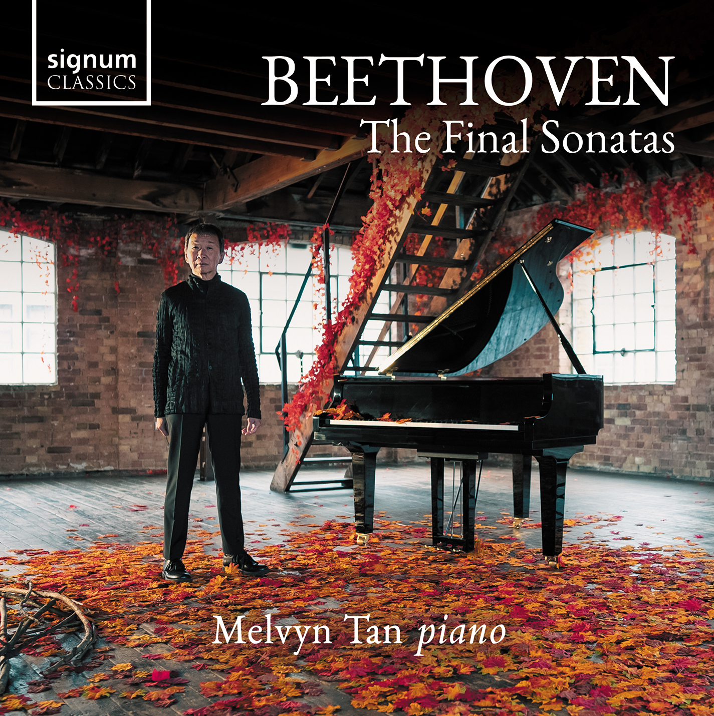 BEETHOVEN: Final Sonatas Tan,Melvyn