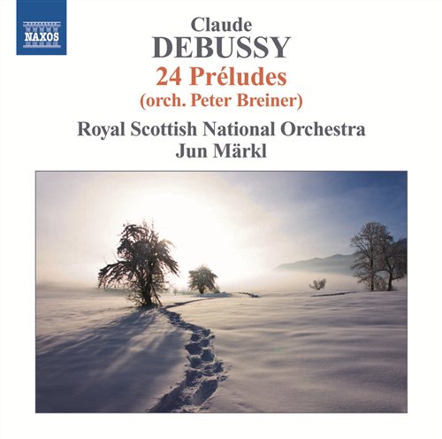 Ágústsdóttir, Stína - Drown to Die a Little (LP) - NaxosDirect