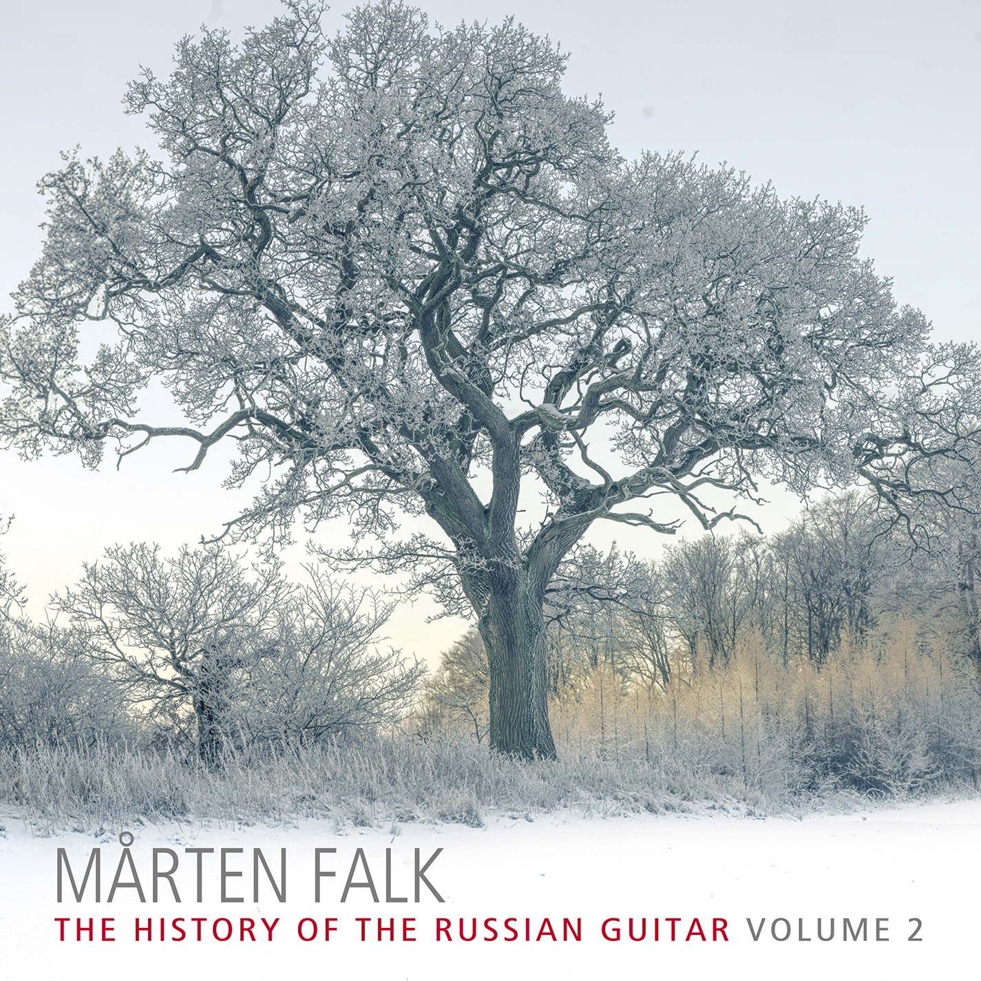 History of Russian Guitar Vol.2 Falk,Mårten