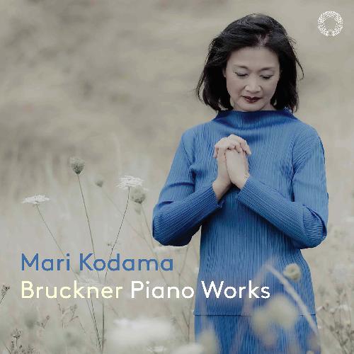 Bruckner: Piano Works (Kodama) Kodama,Mari