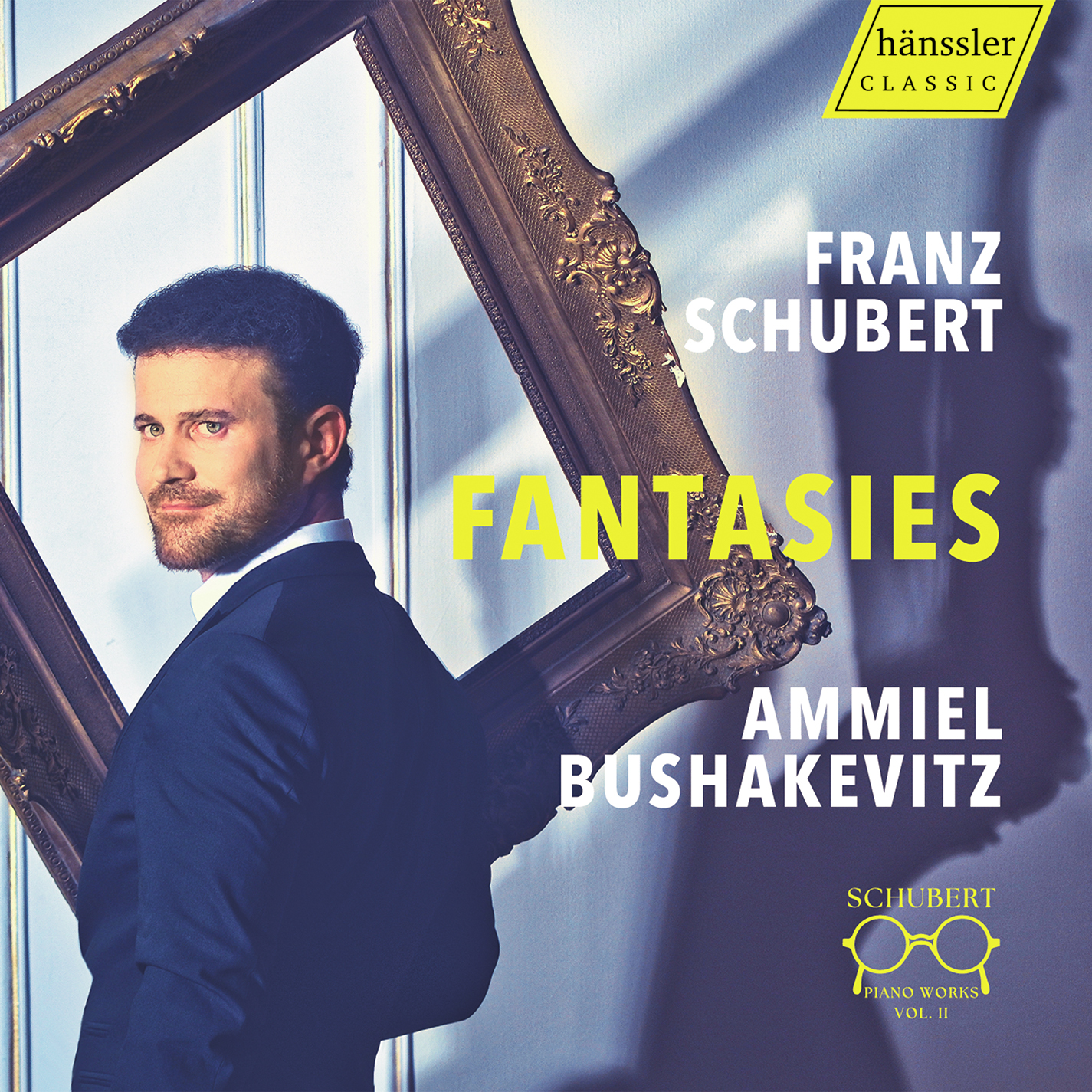 SCHUBERT: Fantasies Bushakevitz,Ammiel