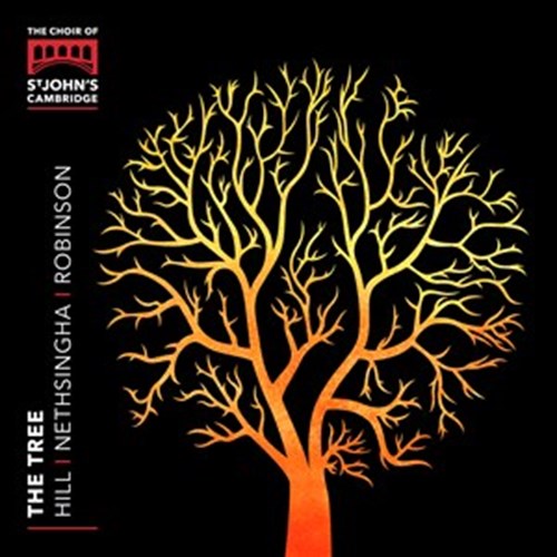 Choir of St John´s: The Tree Choir of St John's/Hill/+